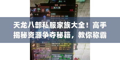 天龙八部私服家族大全！高手揭秘资源争夺秘籍，教你称霸私服江湖？