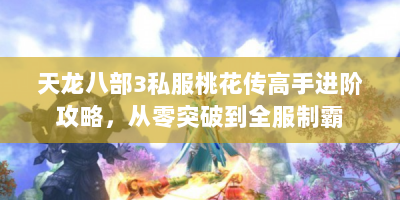 天龙八部3私服桃花传高手进阶攻略，从零突破到全服制霸