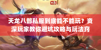 天龙八部私服到底能不能玩？资深玩家教你避坑攻略与玩法窍门