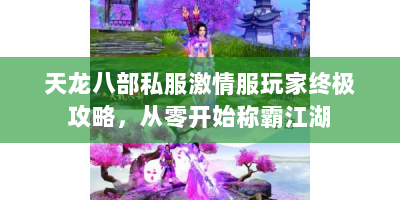 天龙八部私服激情服玩家终极攻略，从零开始称霸江湖