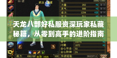 天龙八部好私服资深玩家私藏秘籍，从零到高手的进阶指南