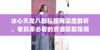 冰心天龙八部私服网深度解析，老玩家必看的资源获取指南
