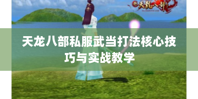 天龙八部私服武当打法核心技巧与实战教学