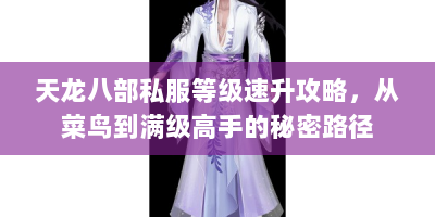 天龙八部私服等级速升攻略，从菜鸟到满级高手的秘密路径