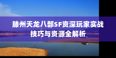 滕州天龙八部SF资深玩家实战技巧与资源全解析