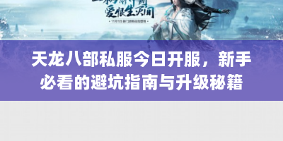 天龙八部私服今日开服，新手必看的避坑指南与升级秘籍