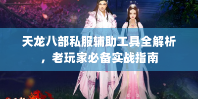 天龙八部私服辅助工具全解析，老玩家必备实战指南