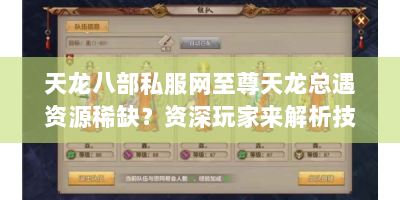 天龙八部私服网至尊天龙总遇资源稀缺？资深玩家来解析技巧与资源！