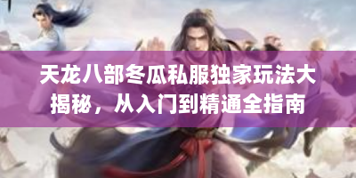 天龙八部冬瓜私服独家玩法大揭秘，从入门到精通全指南