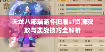 天龙八部端游怀旧服sf资源获取与实战技巧全解析