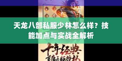天龙八部私服少林怎么样？技能加点与实战全解析