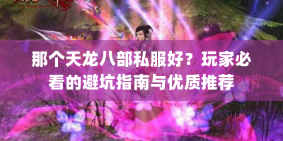 那个天龙八部私服好？玩家必看的避坑指南与优质推荐