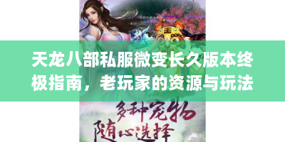 天龙八部私服微变长久版本终极指南，老玩家的资源与玩法全解析