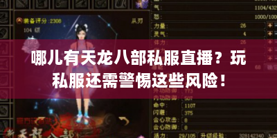 哪儿有天龙八部私服直播？玩私服还需警惕这些风险！