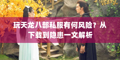 玩天龙八部私服有何风险？从下载到隐患一文解析