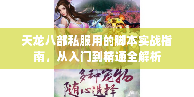 天龙八部私服用的脚本实战指南，从入门到精通全解析