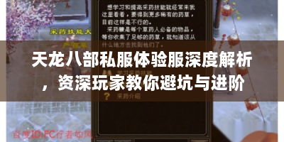 天龙八部私服体验服深度解析，资深玩家教你避坑与进阶