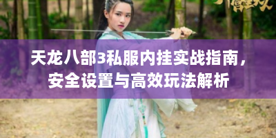 天龙八部3私服内挂实战指南，安全设置与高效玩法解析
