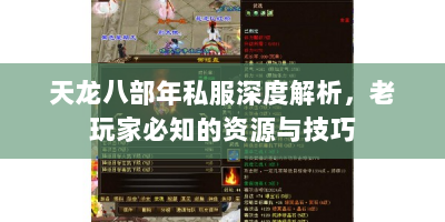 天龙八部年私服深度解析，老玩家必知的资源与技巧