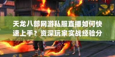 天龙八部网游私服直播如何快速上手？资深玩家实战经验分享