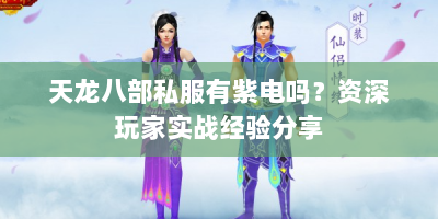 天龙八部私服有紫电吗？资深玩家实战经验分享