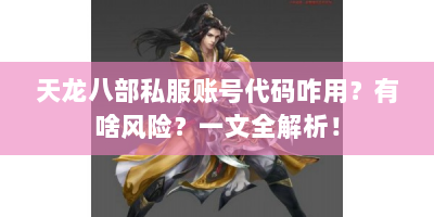 天龙八部私服账号代码咋用？有啥风险？一文全解析！