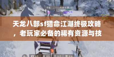 天龙八部sf猎命江湖终极攻略，老玩家必备的稀有资源与技巧