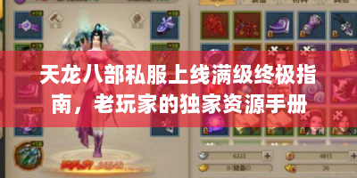 天龙八部私服上线满级终极指南，老玩家的独家资源手册