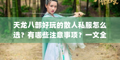 天龙八部好玩的散人私服怎么选？有哪些注意事项？一文全解析
