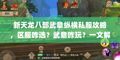新天龙八部武意纵横私服攻略，区服咋选？武意咋玩？一文解惑