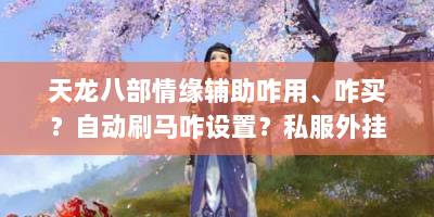 天龙八部情缘辅助咋用、咋买？自动刷马咋设置？私服外挂能碰吗？