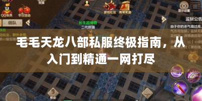 毛毛天龙八部私服终极指南，从入门到精通一网打尽