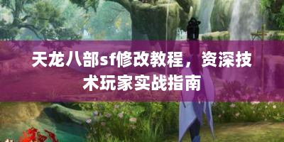 天龙八部sf修改教程，资深技术玩家实战指南