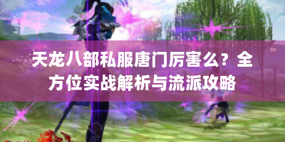 天龙八部私服唐门厉害么？全方位实战解析与流派攻略
