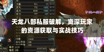 天龙八部私服破解，资深玩家的资源获取与实战技巧