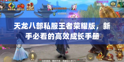 天龙八部私服王者荣耀版，新手必看的高效成长手册
