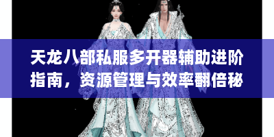 天龙八部私服多开器辅助进阶指南，资源管理与效率翻倍秘籍