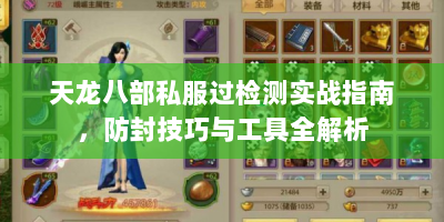 天龙八部私服过检测实战指南，防封技巧与工具全解析