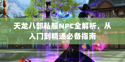 天龙八部私服NPC全解析，从入门到精通必备指南