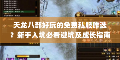 天龙八部好玩的免费私服咋选？新手入坑必看避坑及成长指南