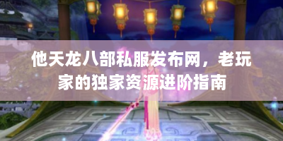 他天龙八部私服发布网，老玩家的独家资源进阶指南