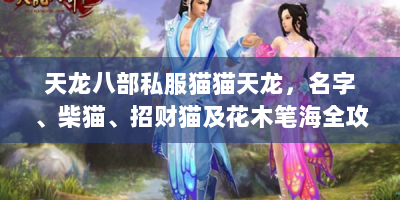 天龙八部私服猫猫天龙，名字、柴猫、招财猫及花木笔海全攻略