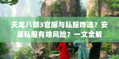 天龙八部3官服与私服咋选？安装私服有啥风险？一文全解