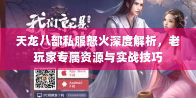 天龙八部私服怒火深度解析，老玩家专属资源与实战技巧