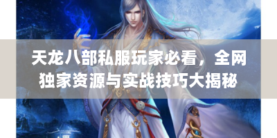 天龙八部私服玩家必看，全网独家资源与实战技巧大揭秘