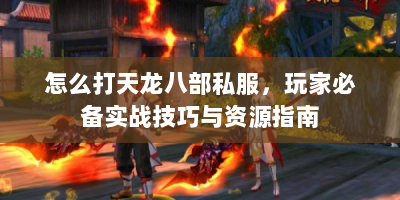 怎么打天龙八部私服，玩家必备实战技巧与资源指南