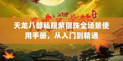 天龙八部私服紫银珠全场景使用手册，从入门到精通