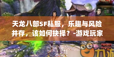 天龙八部SF私服，乐趣与风险并存，该如何抉择？-游戏玩家必看