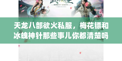 天龙八部欲火私服，梅花镖和冰魄神针那些事儿你都清楚吗？