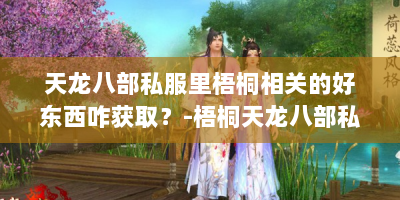 天龙八部私服里梧桐相关的好东西咋获取？-梧桐天龙八部私服网站
